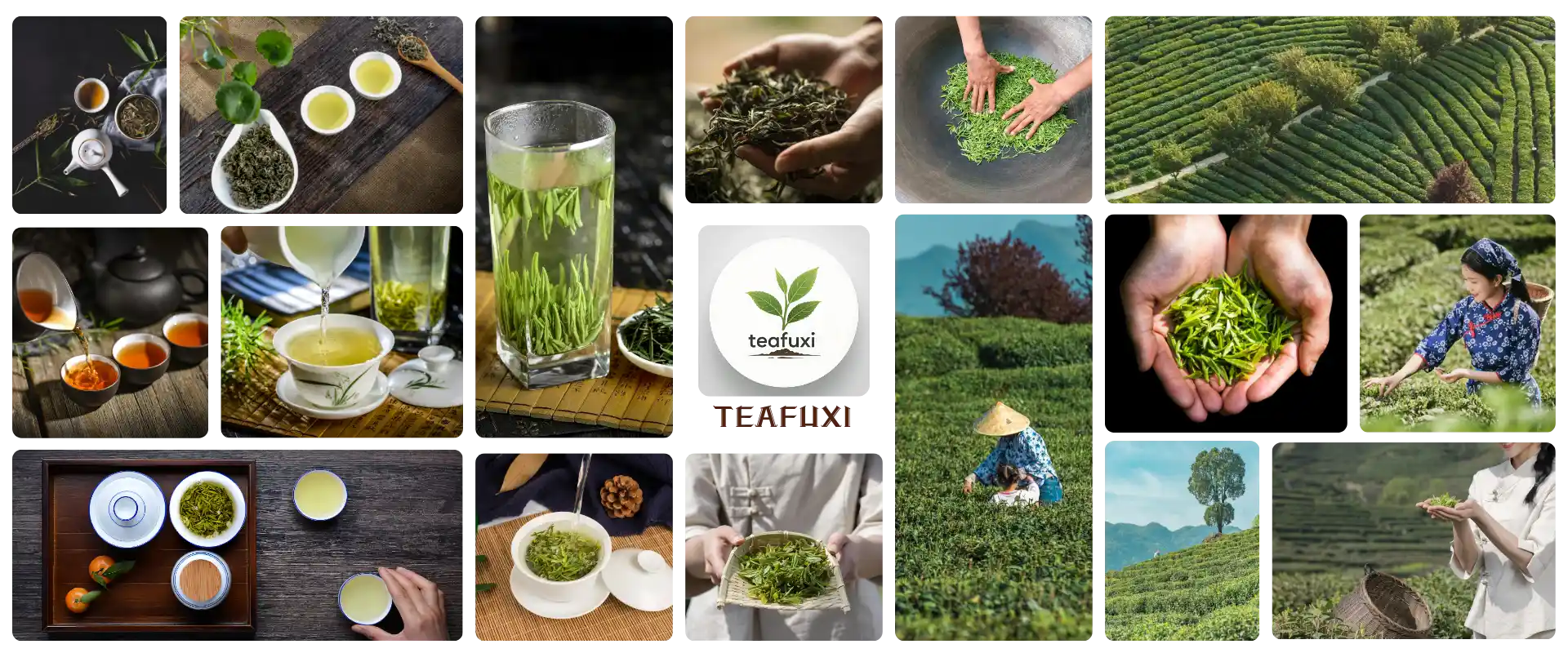 eco-tea-garden/natural/chinese-tea
